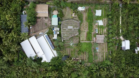 Bến Tre Demonstration Farm
